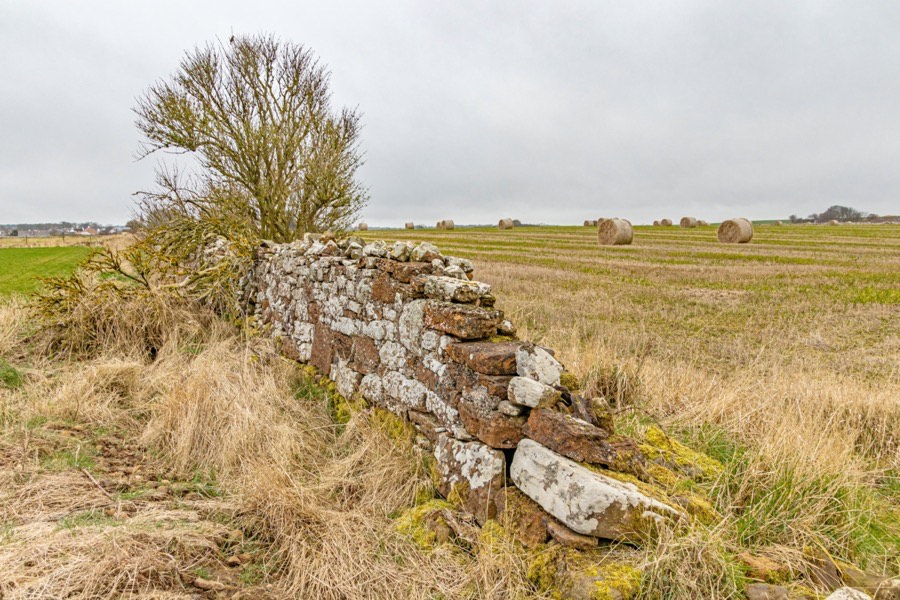 Site of Kingsbarns Castle