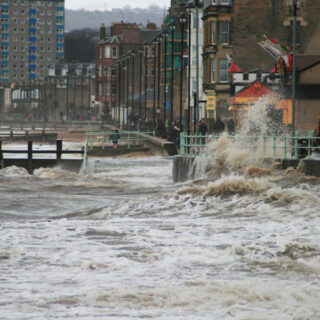 Stormy Portobello and birdlife on the River Tyne